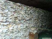 徐汇区回收废品站 收购办公废纸 收购废旧书籍 