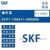 瑞典SKF ECP1-100A11-000000螺杆泵