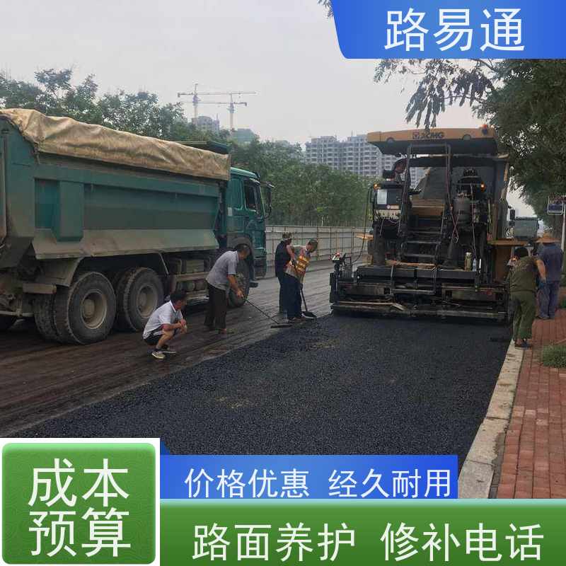 路易通 东莞沥青施工 球场沥青改造施工 白改黑工程