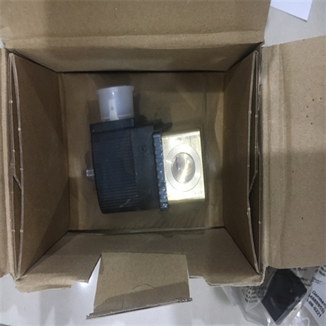 介绍BURKER宝德电磁阀501208常见故障