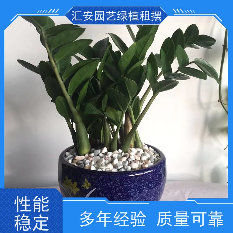 汇安园艺绿植租摆  植物造景 公司