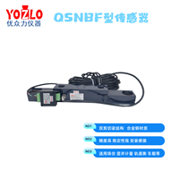   BK-6B-1t非标定制型传感器 智能数字显示器TS-5H