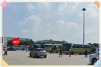 今日班次:山亭到宁海直达汽车/今日班次实时反馈/全+镜+派+送