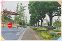 线路:荣成到泰兴客车/线路实时跟踪/全+境+到+达