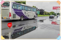 大巴车:新泰到温岭汽车/大巴车实时反馈全+境+到+达