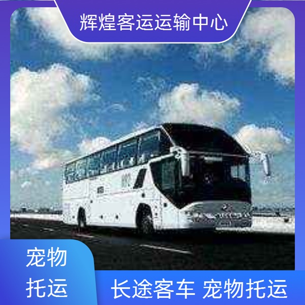 实时热点:慈溪到秦皇岛客车/安全舒适实时反馈全+境+到+达