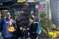 推荐/贵阳到焦作长途汽车安全为先/客车大巴车