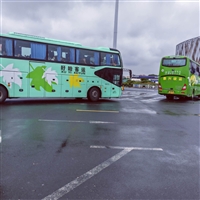 泉州到台儿庄的客车/客车