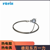 东方一力品牌pt100双支热电阻WZPK2-639高温测量配件