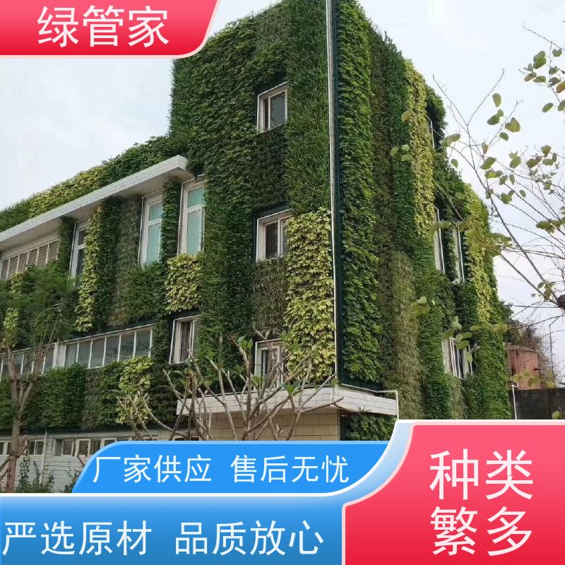 绿管家 绿墙 建筑物垂直绿化 造型美观简约 色彩亮丽 植物墙厂家