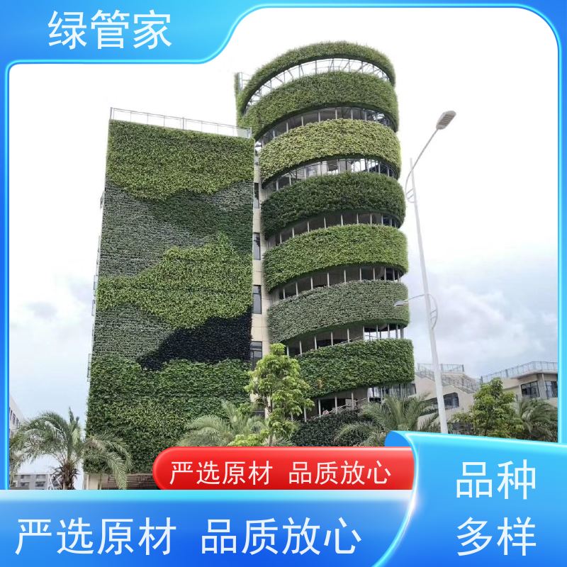 绿管家 植物墙 造型美观简约 色彩亮丽 严选原材 品质放心