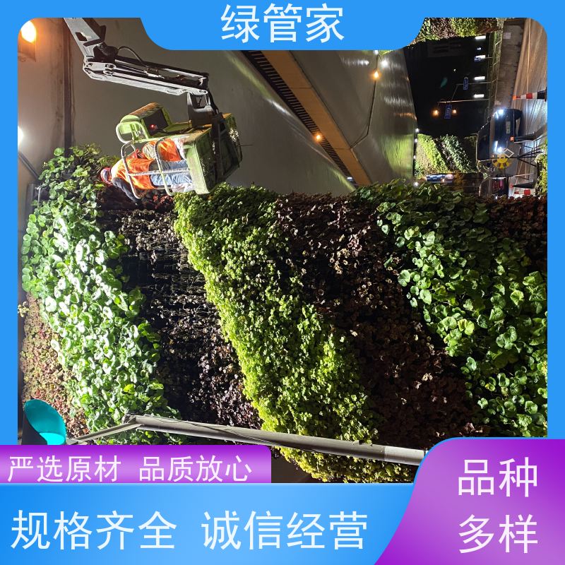 绿管家 绿植墙 防火耐高温 多规格可选 库存充足