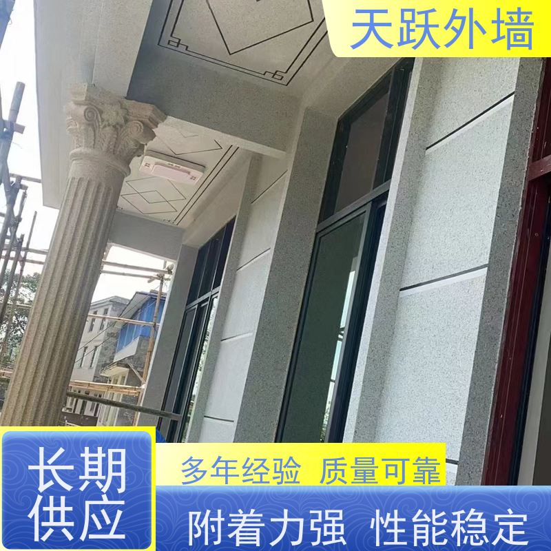 天跃外墙罩面漆 工业园自建房外墙喷涂专用喷枪喷涂