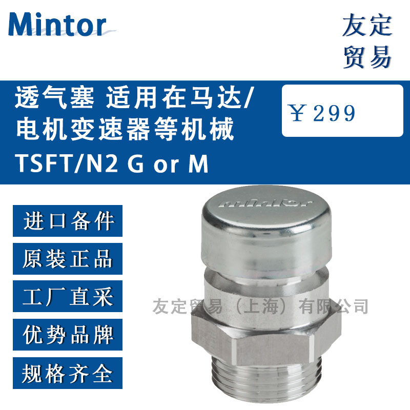 意大利Mintor TSFT/N2 G or M 透气塞