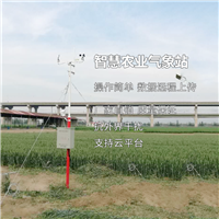农田水稻种植气候监测设备 智慧农业气象自动监测站出口国外项目