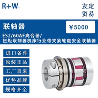 R W ES2/60AF 离合器/扭矩限制器 机床行业带夹紧轮毂 安全联轴器  议价