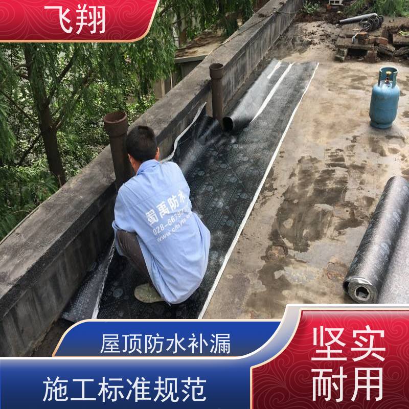 飞翔 阳台防水补漏施工 地下室渗水堵漏  效率高 