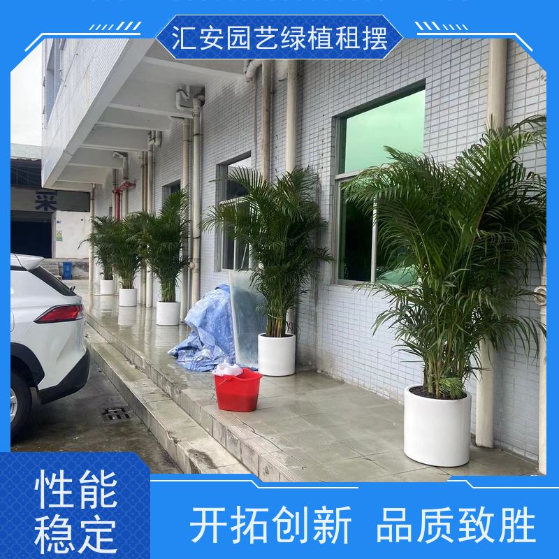 汇安园艺绿植租赁  景观工程 公司