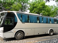 查询/天津到顺德长途直达客车/客车实时跟进全+境+到+达