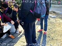 欢迎乘车时刻表/泰安到嵊州客车/客车实时跟进全+境+到+达