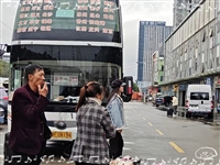 欢迎乘车时刻表/泰安到普宁长途直达大巴/客车实时跟进全+境+到+达