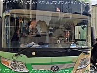 欢迎乘车时刻表/天津到桐乡长途直达汽车/客车实时跟进全+境+到+达