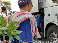 欢迎乘车预约/济南到天台直达客车/客车实时反馈/全+镜+派+送