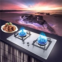 咸阳蚂蚁小斯燃气灶维修电话全市24小时报修服务热线