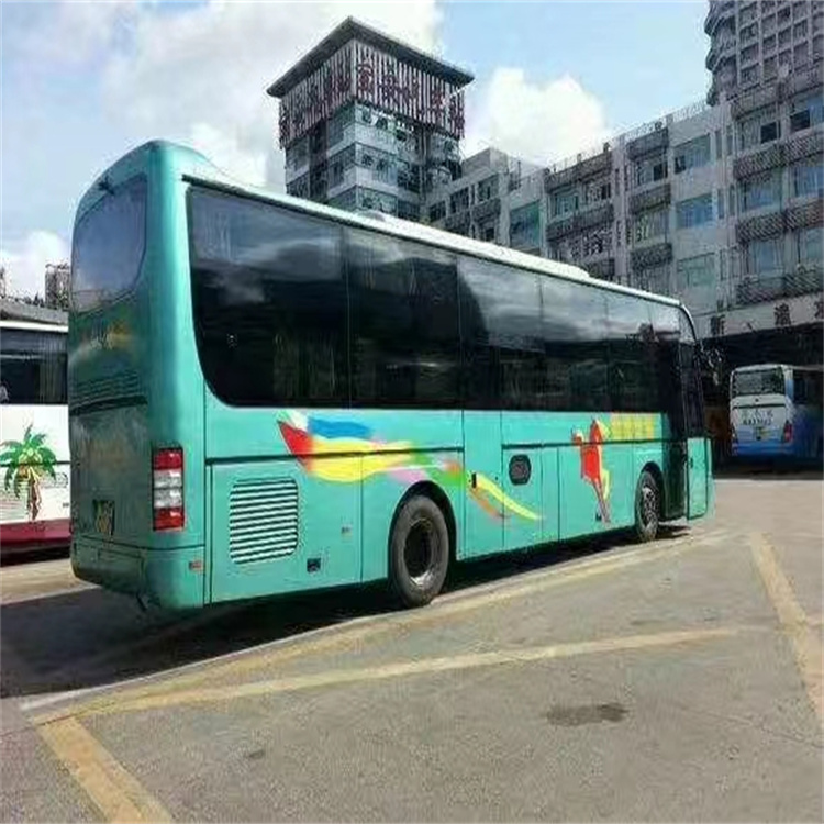 班车:晋江到兴仁汽车客车/-实时跟进全+境+到+达