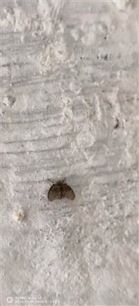 青岛市崂山区隔断拆除公司靠谱