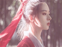 山东农业大学成人高考电话告知