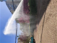北京树木打药租赁 出租洒水车 园林绿化树木打药 农药喷洒车