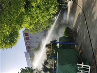 北京树木打药租赁 出租洒水车 园林绿化树木打药 农药喷洒车服务