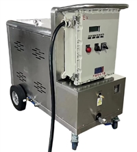 江苏功能好防爆蒸汽清洗机