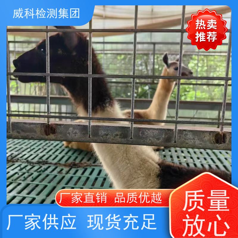 125w370w550w750w自吸泵空调泵泵头自吸泵水泵配件自吸泵铸铁水箱