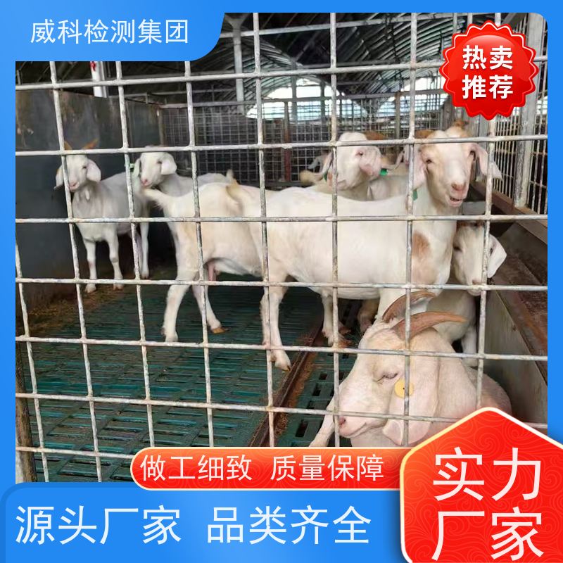 卧式液体不锈钢储罐 食品饮料调配罐 连续式操作