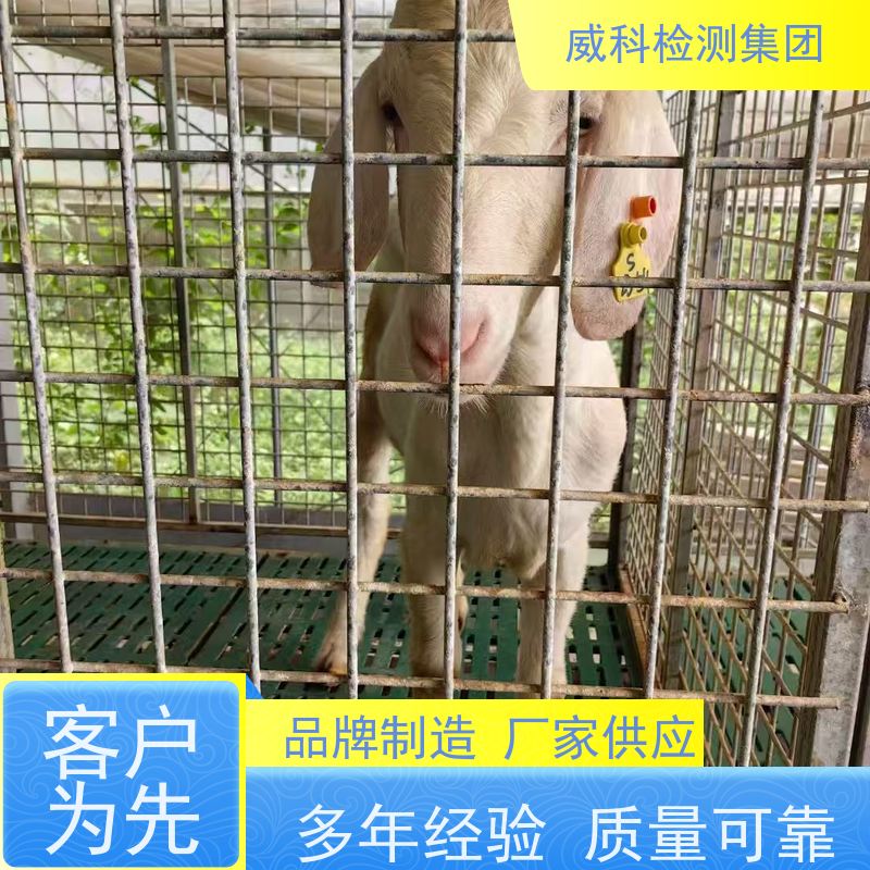 螺杆空压机油分芯4930253131适用于正力精工保养耗材