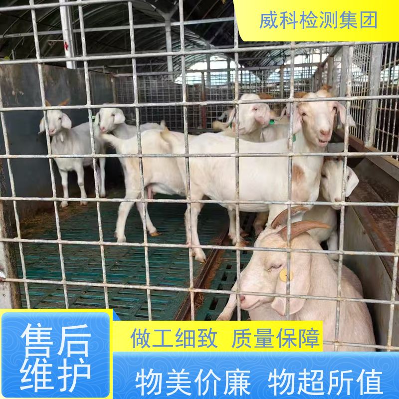 微型单螺杆泵转子泵 威格隆转子泵头加工 0.02/0.075CC规格