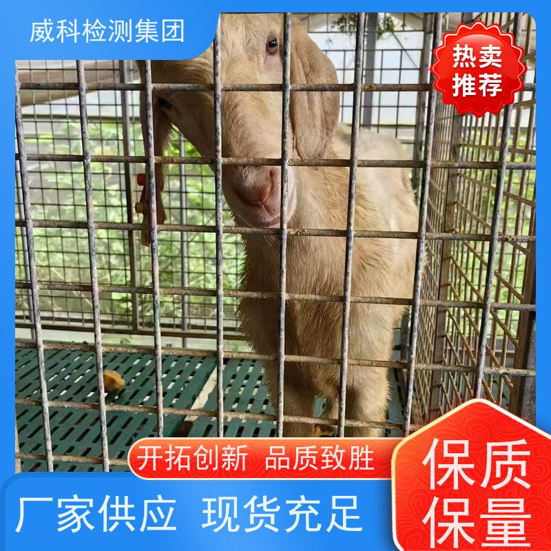 Thermo Scientific ORION 蠕动泵泵头2295PH1 磷表电机 2295在线磷表