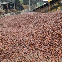 内蒙古乌海变压器鹅卵石鹅卵石8-10公分电力变压器鹅卵石厂家批发供应+2025排名一览