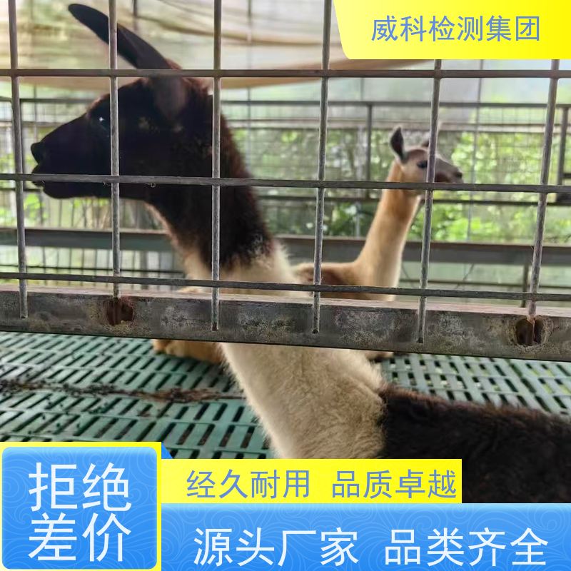 风豹活塞式空压机0.9/0.8 空气压缩机生产 厂家直供（泵头）