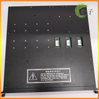 Triconex 2401 继电器输出模块