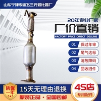 金杯海狮X30L T30 T32 T50 T52 新海狮三元催化器