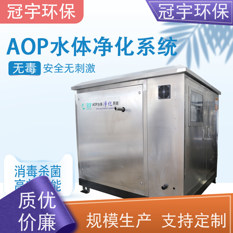 鑫冠宇  AOP地表水水体净化设备 进口飞利浦灯管   支持定制