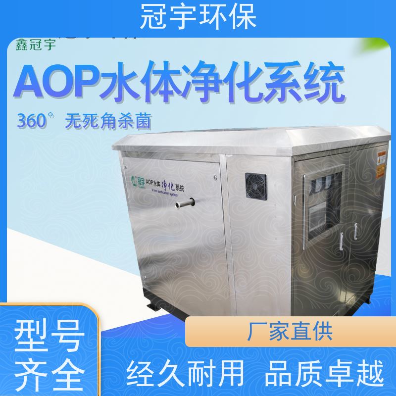冠宇  AOP地表水水体净化设备 支持定制 进口飞利浦灯管  高浓度臭氧