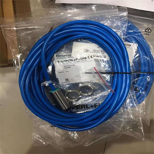 DK32/K1/L-Ex/P 德国科隆krohne转子流量计