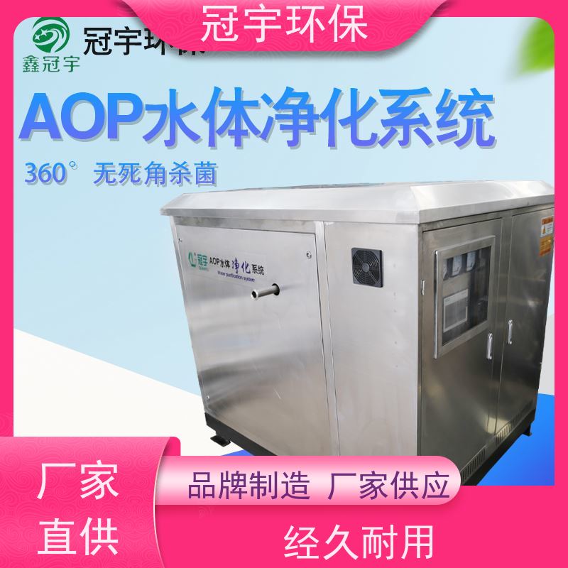 冠宇 进口飞利浦灯管  高强度杀菌 上门调试  AOP地表水水体净化设备