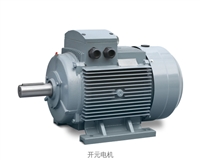 真空泵电机，管道泵电机，减速机电机，低压大功率电机