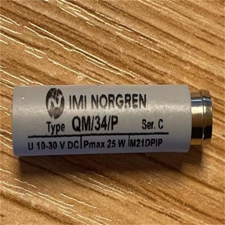 NORGREN杆式滚珠丝杠气缸RA/802125/W2/200/UH