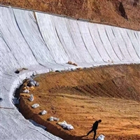 江西环保用GH-2S土工膜幅宽1-8米 黑膜池内衬